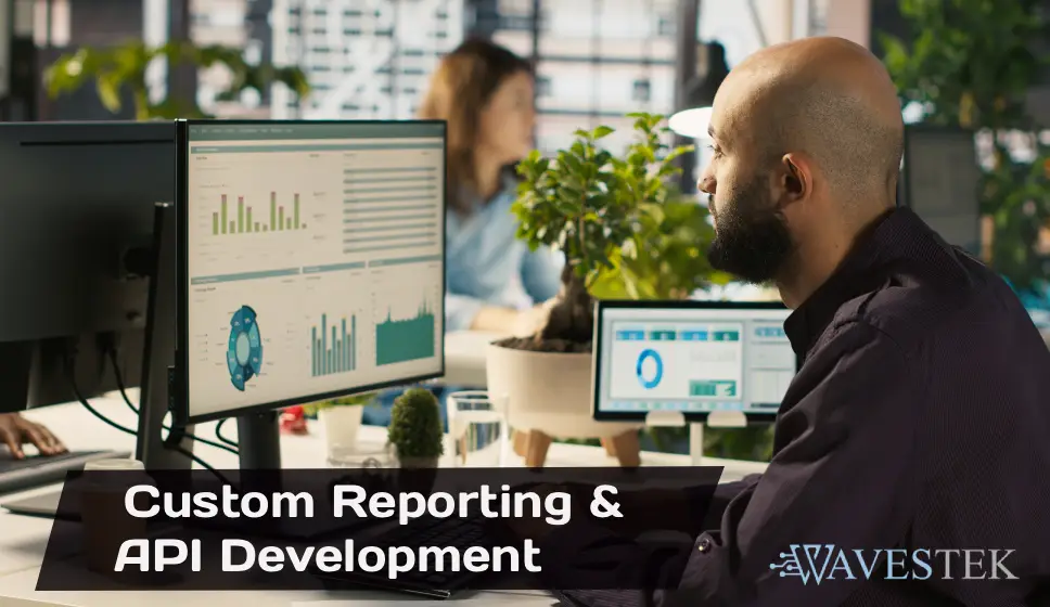 Custom Reporting & API Development